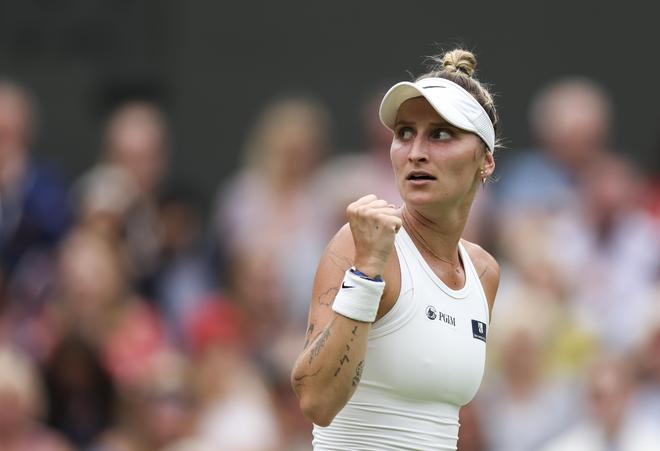 未来我们将 未来我们将