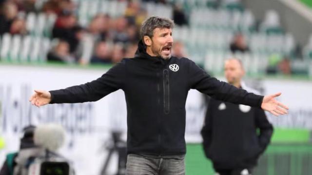 的信誉度 的信誉度