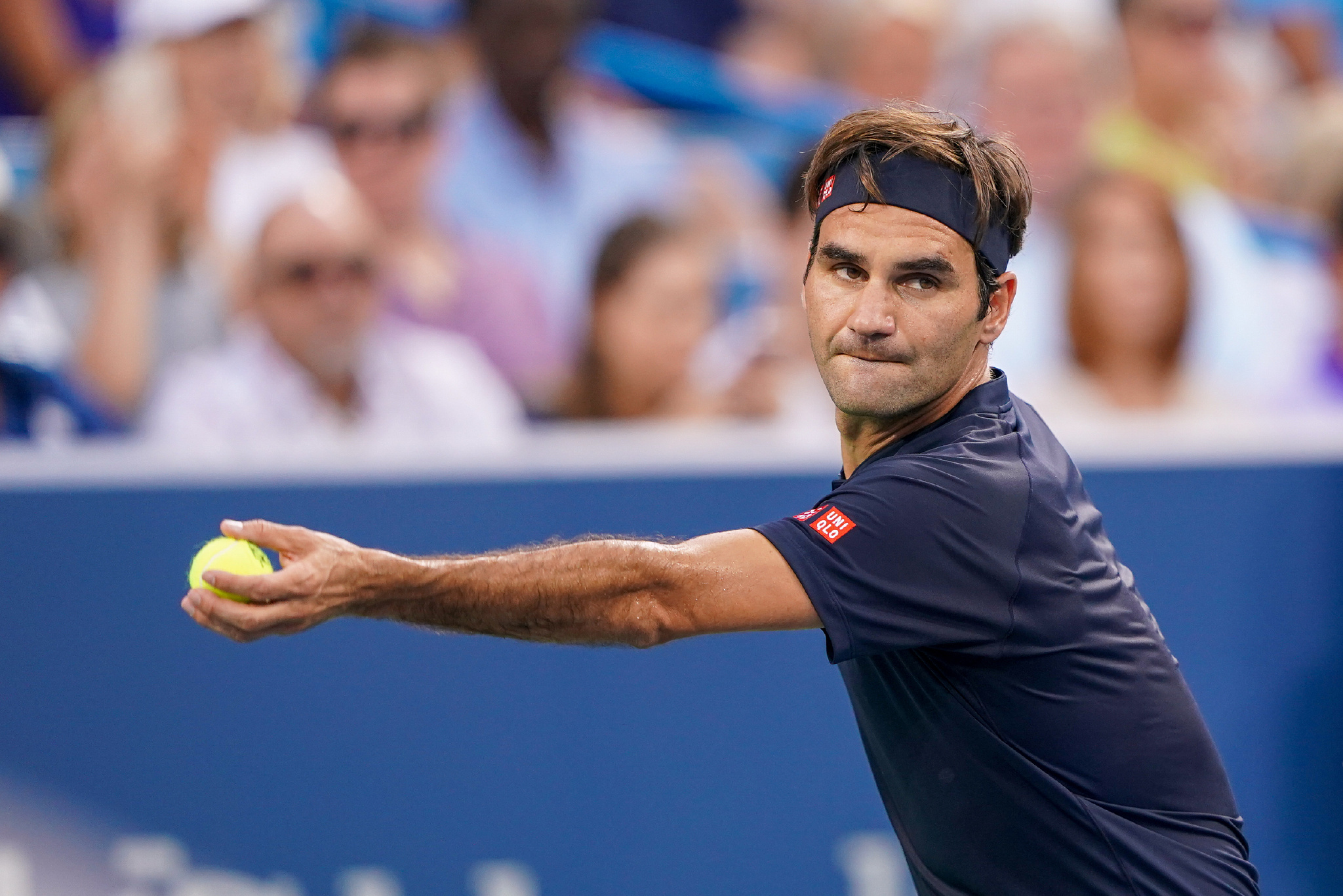 鲜血液和调 鲜血液和调